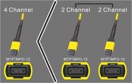 MPO-12 → 2×MPO-12 - MPO-12(4 kênh) sang 2xMPO-12(2 kênh)